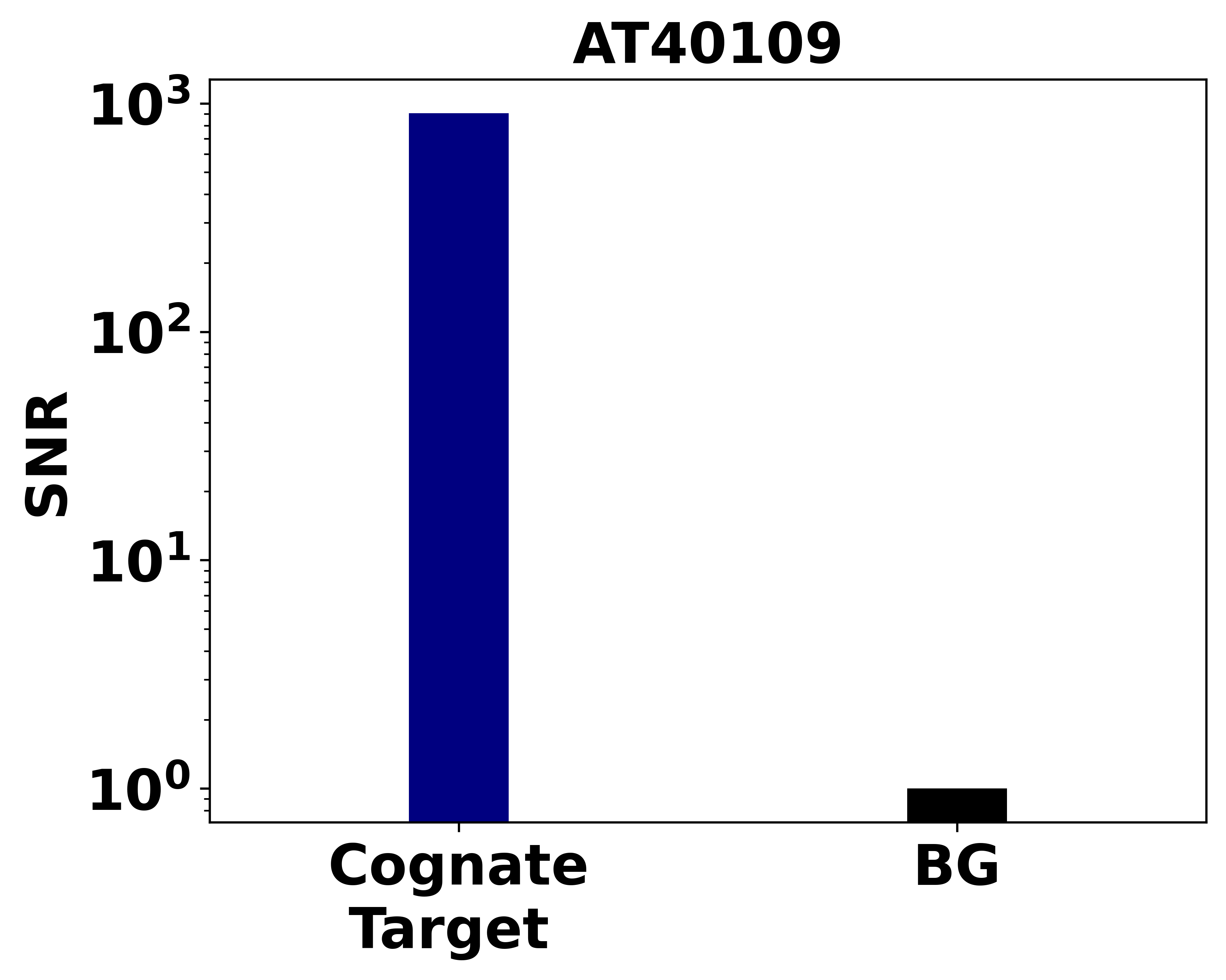 Ankyron SLIK6_HUMAN Clone AT40109