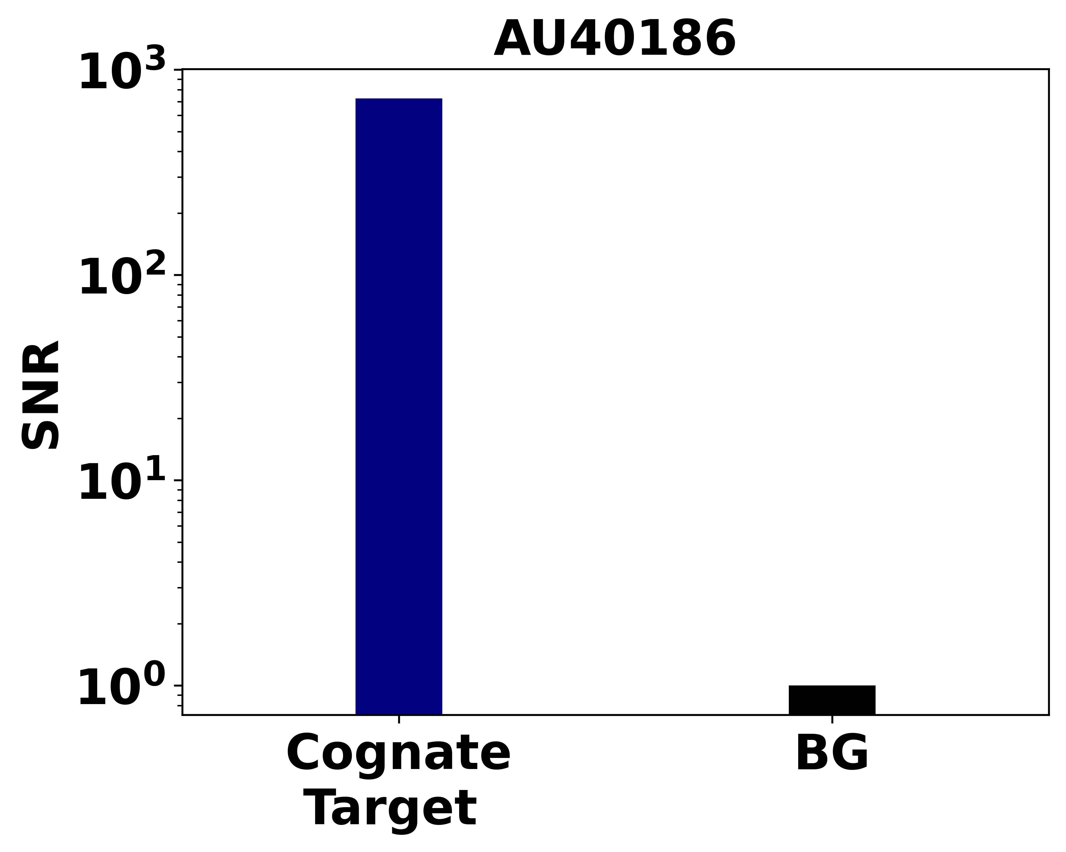 Ankyron SEM4D_MOUSE Clone AU40186