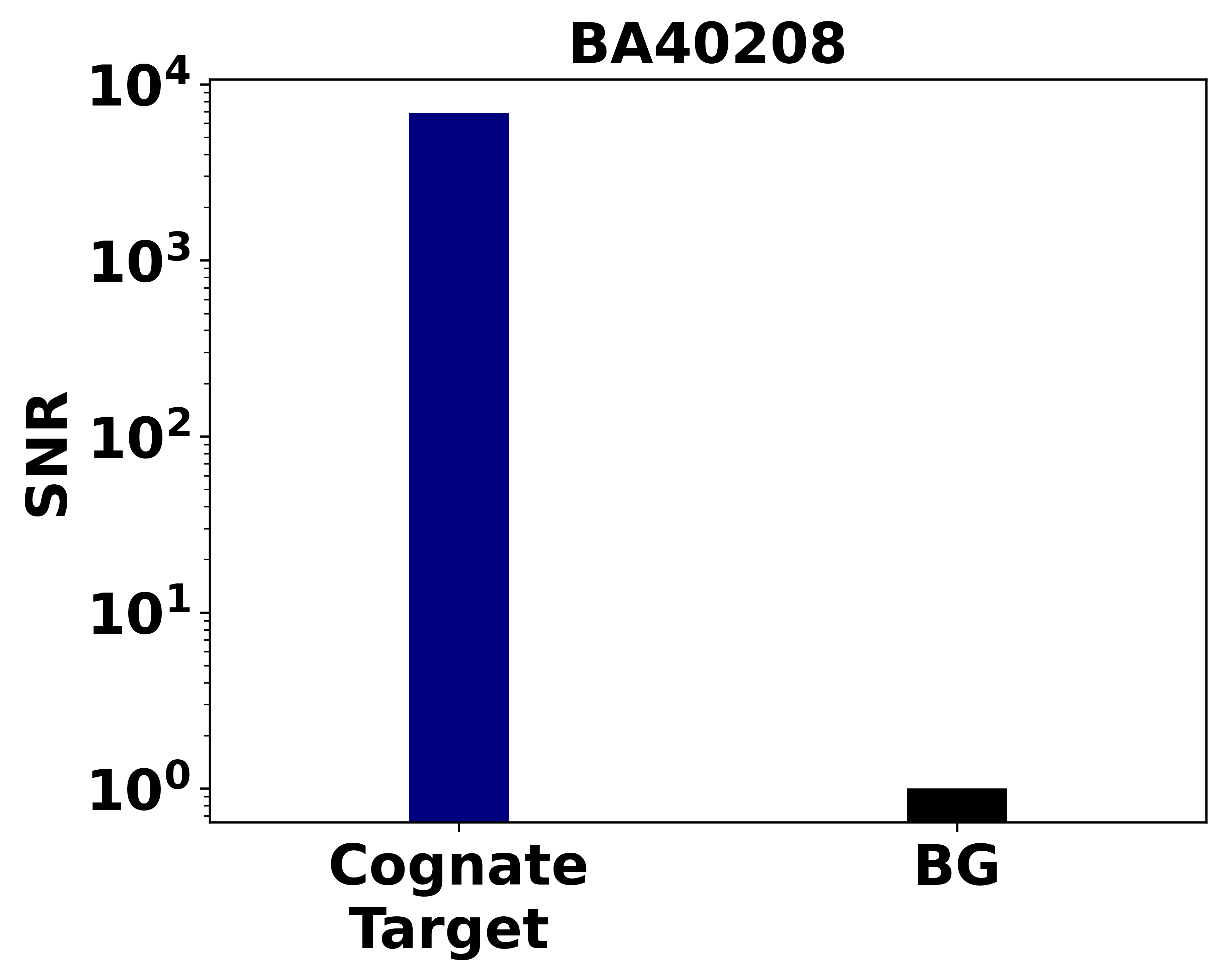 Ankyron EPHB1_HUMAN Clone BA40208