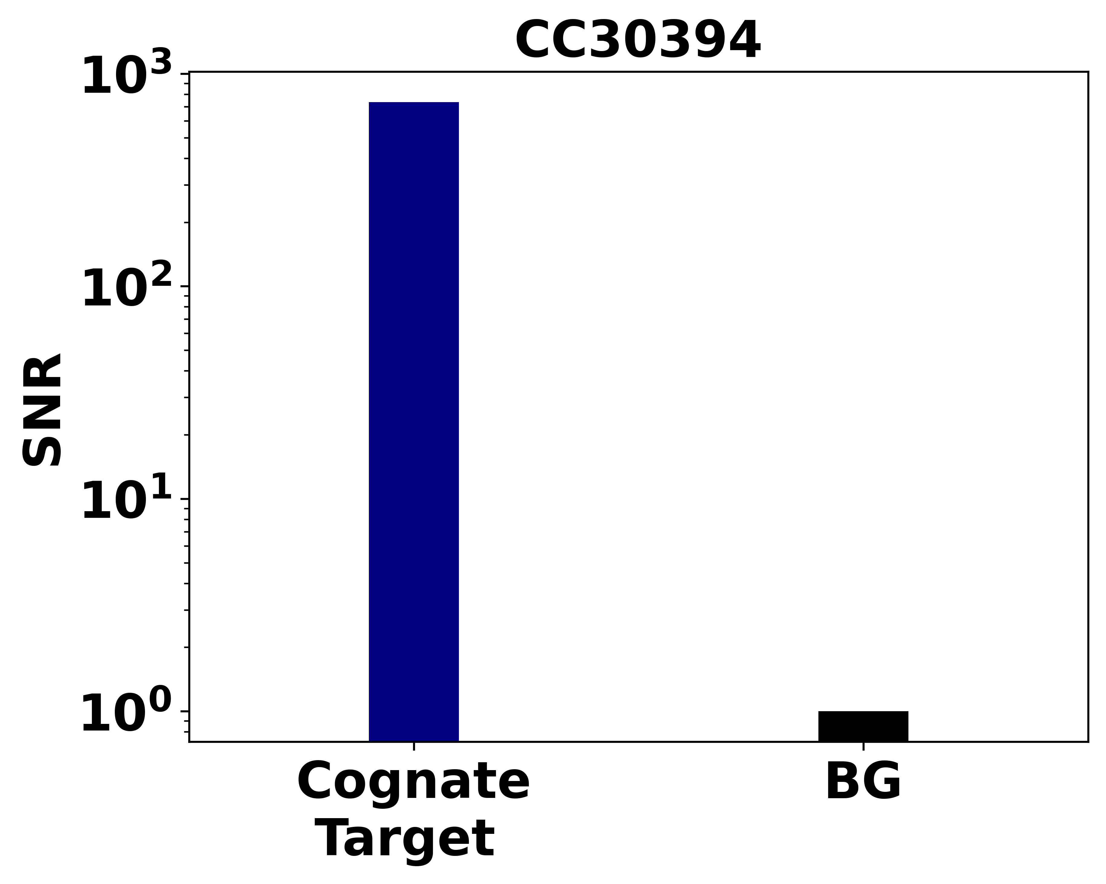 Ankyron PITX2_MOUSE Clone CC30394