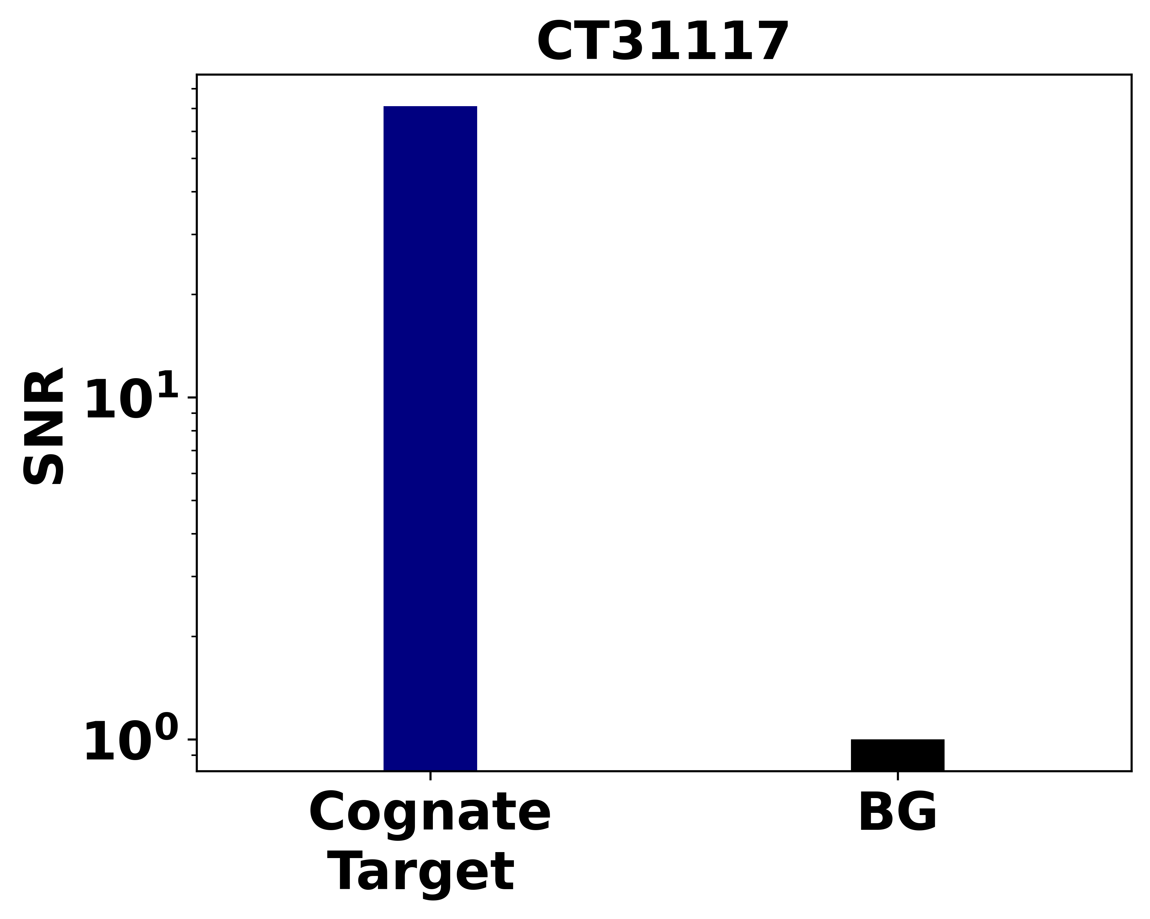 Ankyron CAH14_HUMAN Clone CT31117