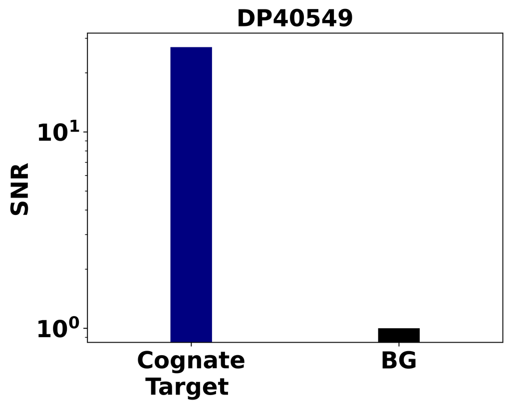 Ankyron LDB3_HUMAN Clone DP40549