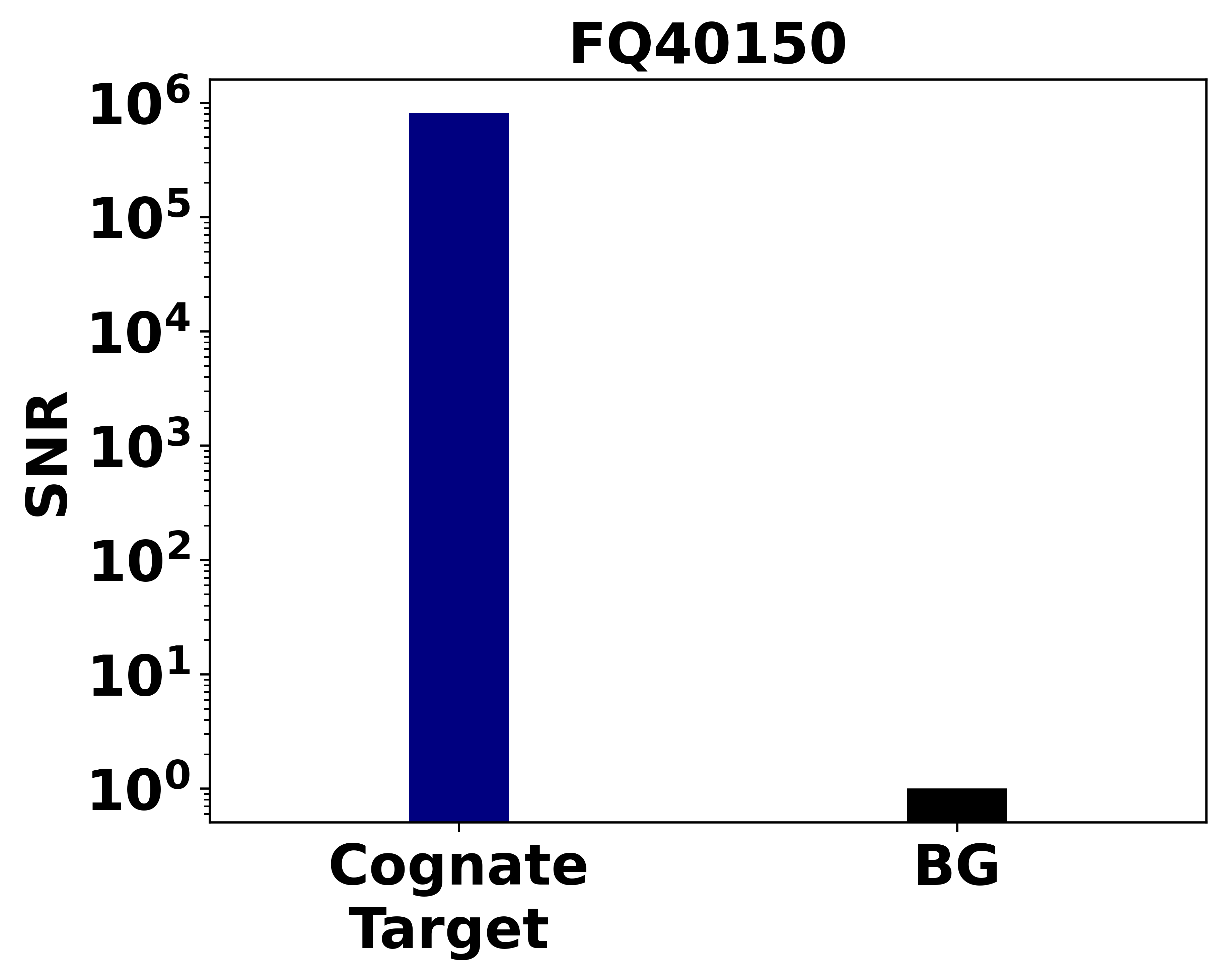 Ankyron A0A2X0RU36_ASF Clone FQ40150