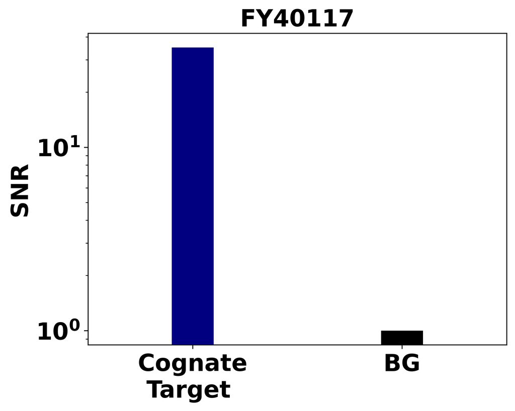 Ankyron PCKGC_HUMAN Clone FY40117