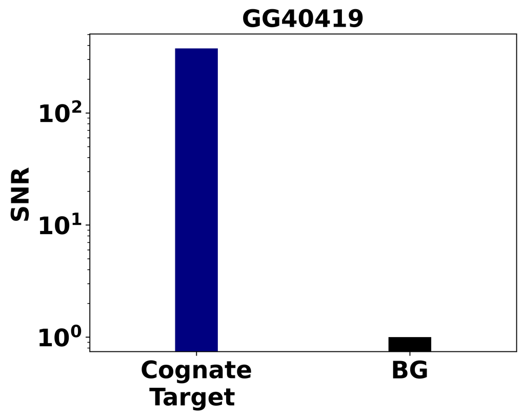 Ankyron HCFC1_HUMAN Clone GG40419
