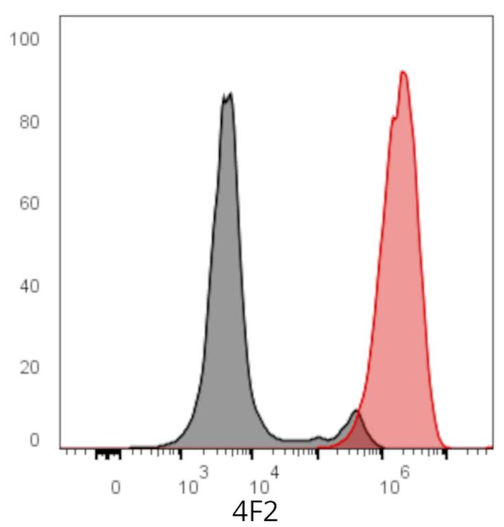 Ankyron 4F2_HUMAN Clone DR40837