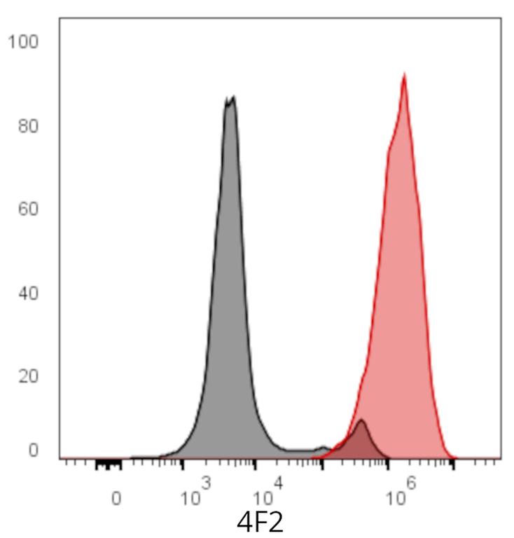 Ankyron 4F2_HUMAN Clone DR40845