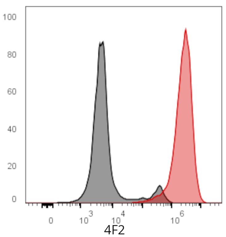 Ankyron 4F2_HUMAN Clone DR40835