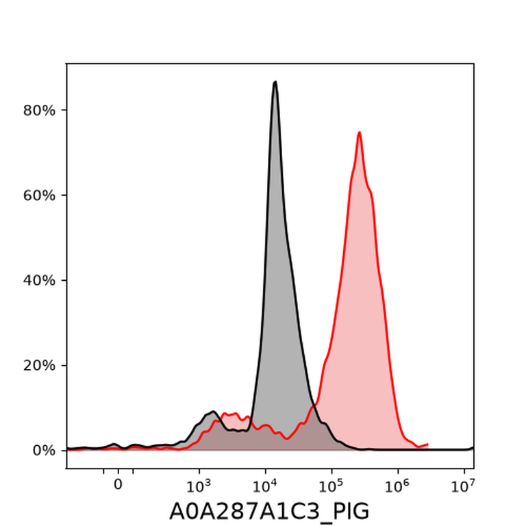 Ankyron A0A287A1C3_PIG Clone DT40363
