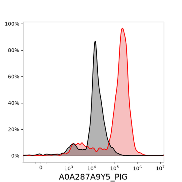 Ankyron A0A287A9Y5_PIG Clone FN40115