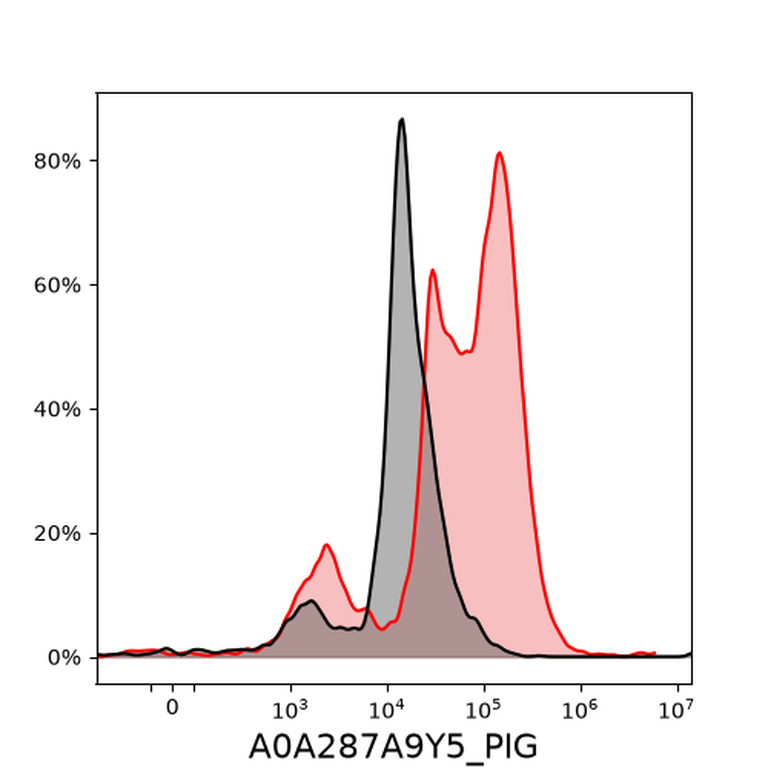 Ankyron A0A287A9Y5_PIG Clone FN40116