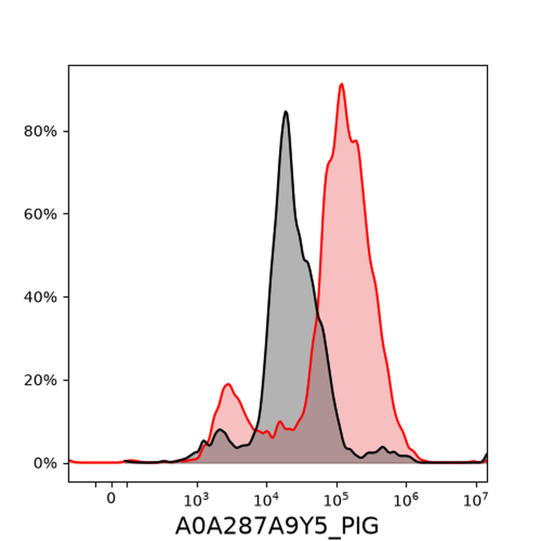 Ankyron A0A287A9Y5_PIG Clone FN40120