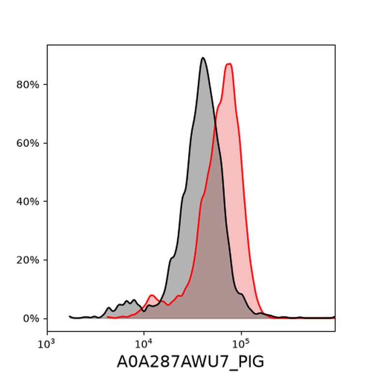 Ankyron A0A287AWU7_PIG Clone EG40289