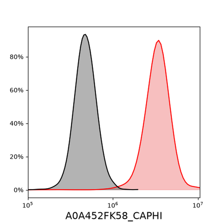 Ankyron A0A452FK58_CAPHI Clone EE30392
