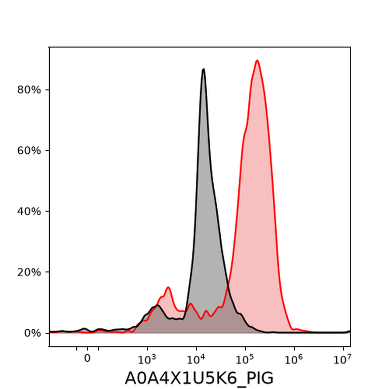 Ankyron A0A4X1U5K6_PIG Clone EG40360