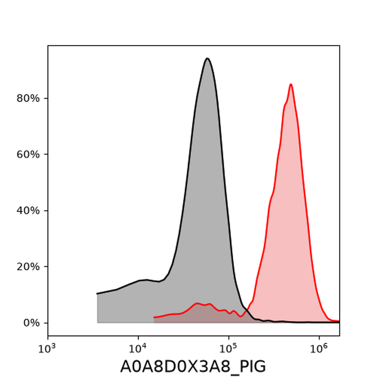 Ankyron A0A8D0X3A8_PIG Clone DV40238