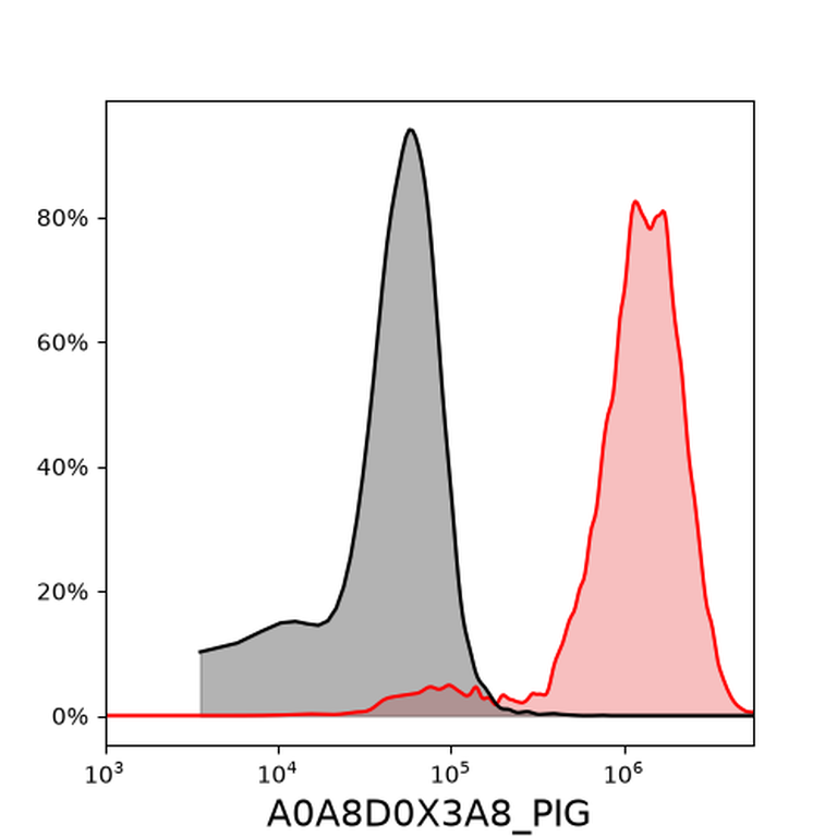 Ankyron A0A8D0X3A8_PIG Clone DV40240