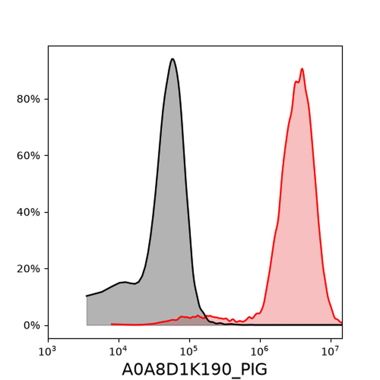 Ankyron A0A8D1K190_PIG Clone CW40305
