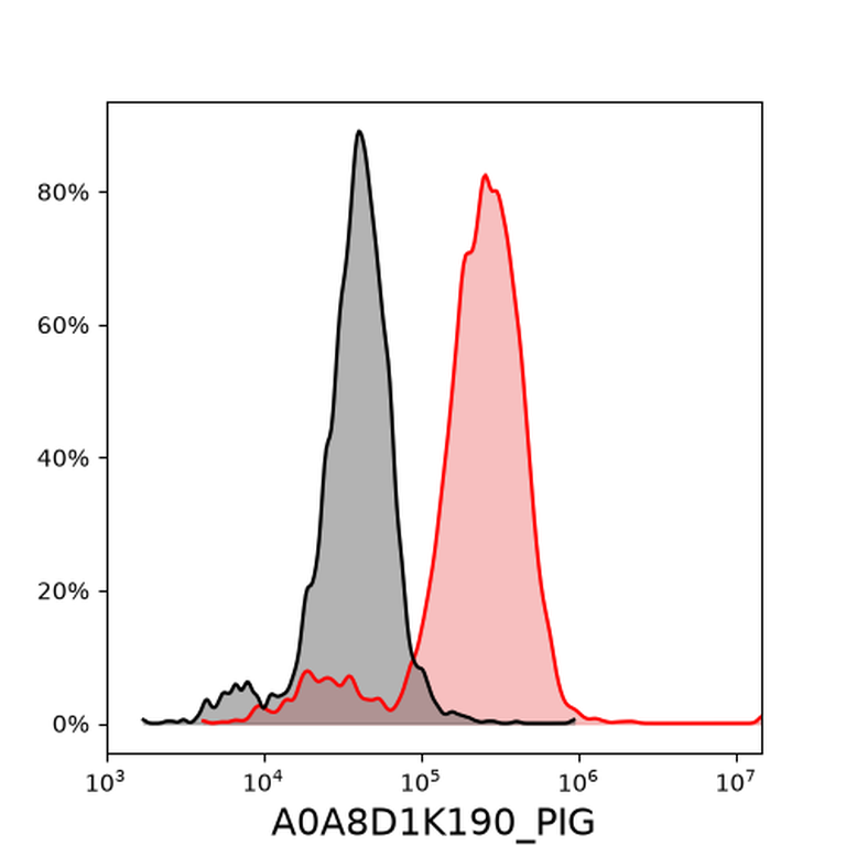 Ankyron A0A8D1K190_PIG Clone DJ40433