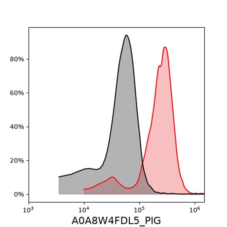 Ankyron A0A8W4FDL5_PIG Clone DV40148