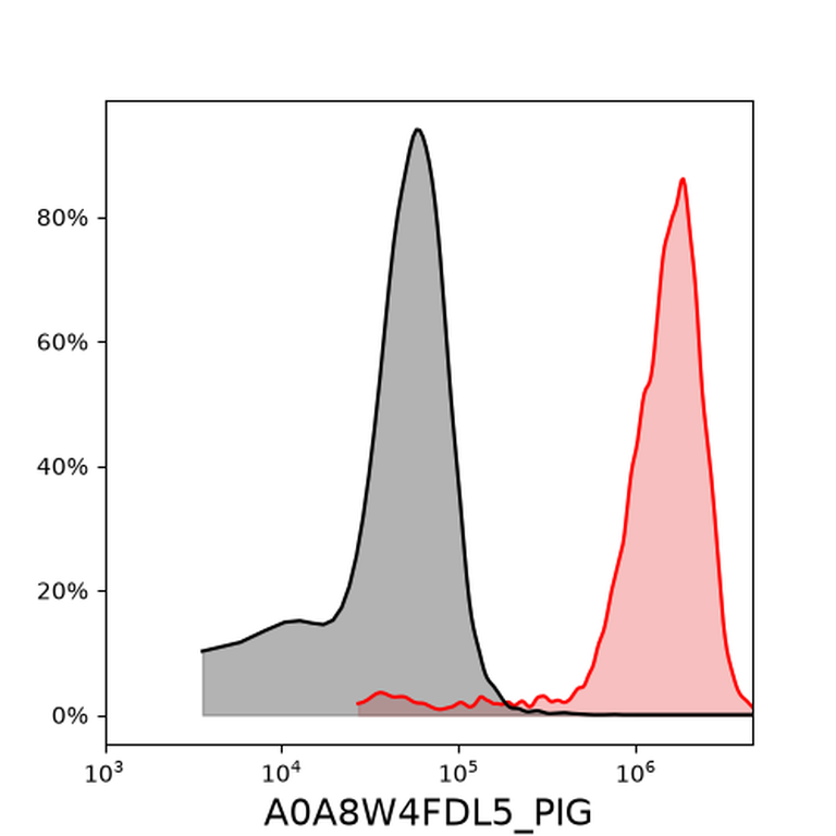 Ankyron A0A8W4FDL5_PIG Clone DW40208