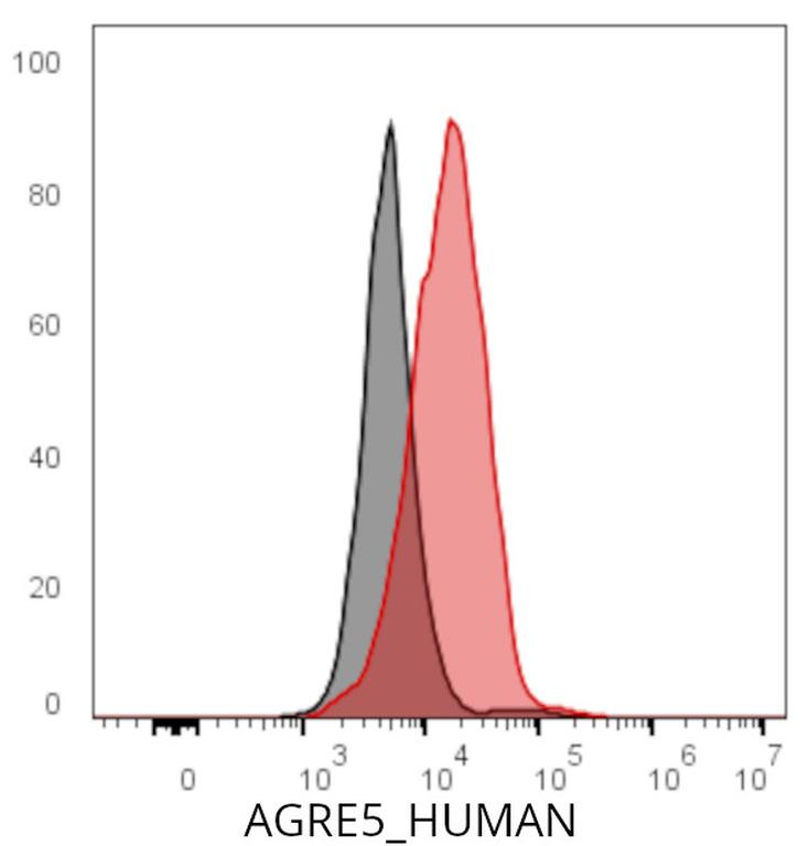 Ankyron AGRE5_HUMAN Clone AU40755