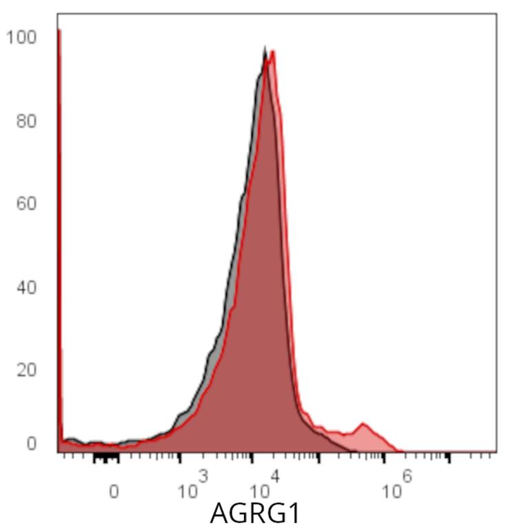 Ankyron AGRG1_HUMAN Clone AK40663