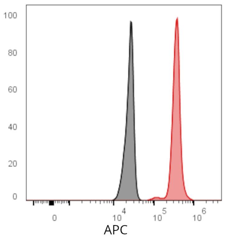 Ankyron APC_MOUSE Clone BZ30752