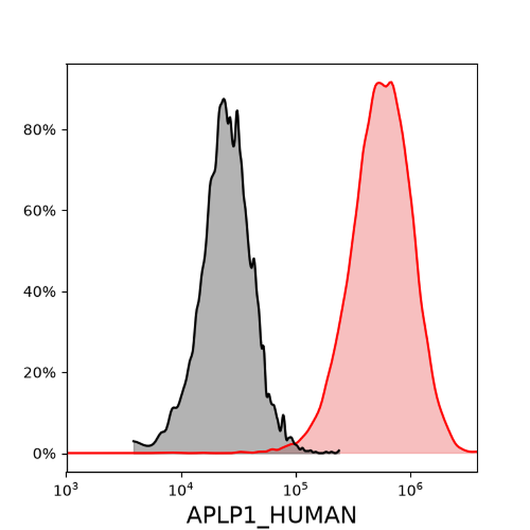Ankyron APLP1_HUMAN Clone AG40104
