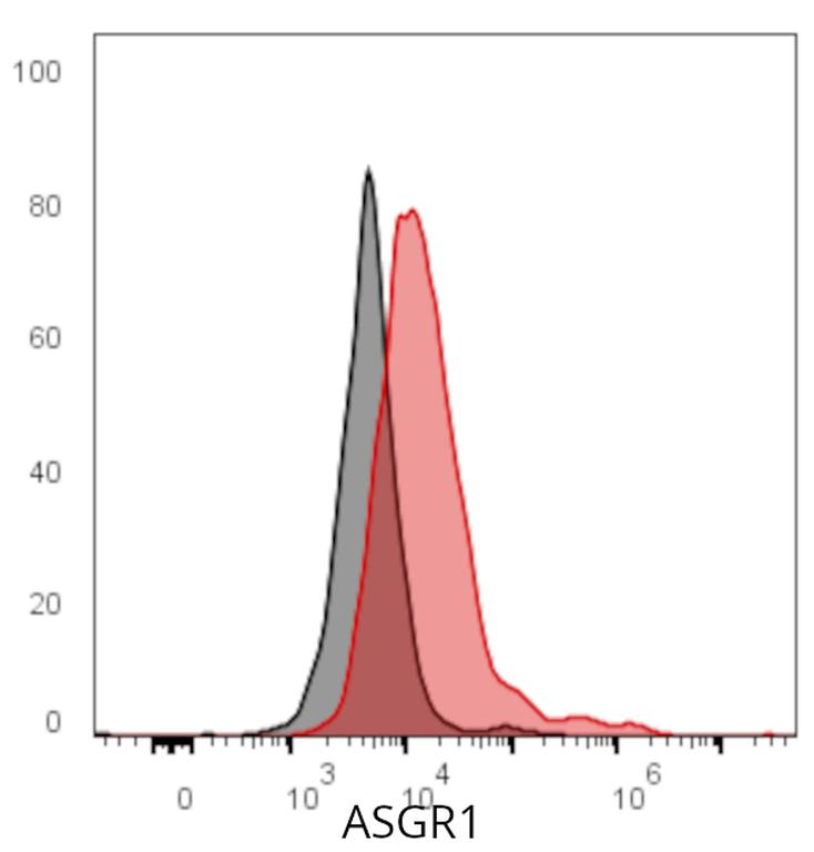 Ankyron ASGR1_HUMAN Clone BJ40243