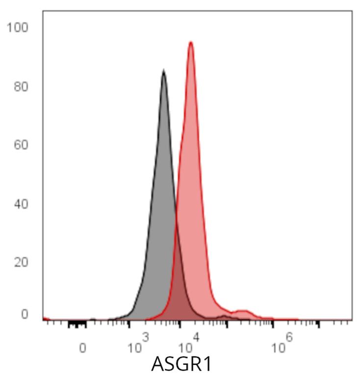 Ankyron ASGR1_HUMAN Clone BJ40250