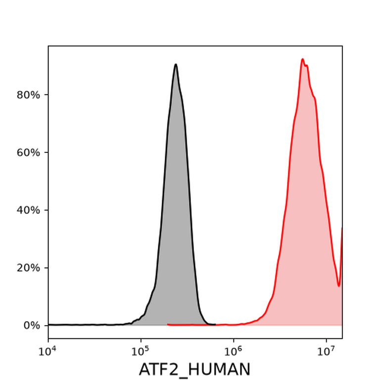 Ankyron ATF2_HUMAN Clone CZ41031