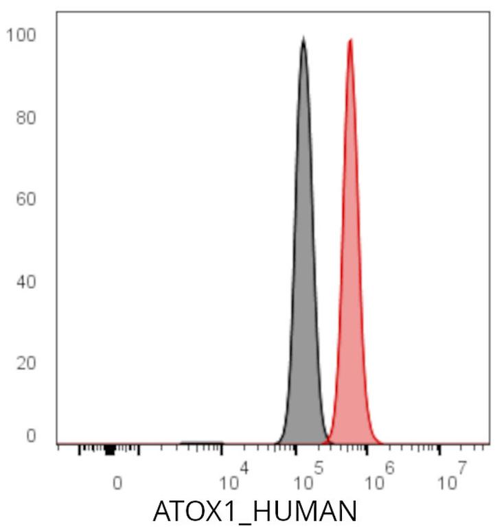 Ankyron ATOX1_HUMAN Clone DB40394