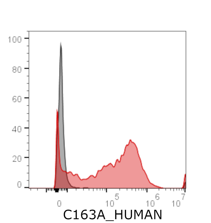 Ankyron C163A_HUMAN Clone CS30717