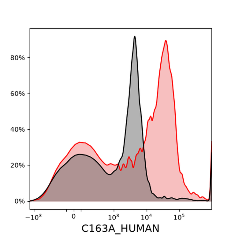 Ankyron C163A_HUMAN Clone CS30713