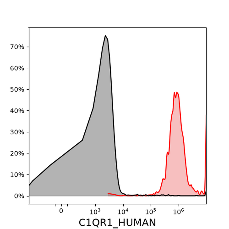 Ankyron C1QR1_HUMAN Clone AJ30205