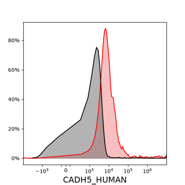 Ankyron CADH5_HUMAN Clone AY40181