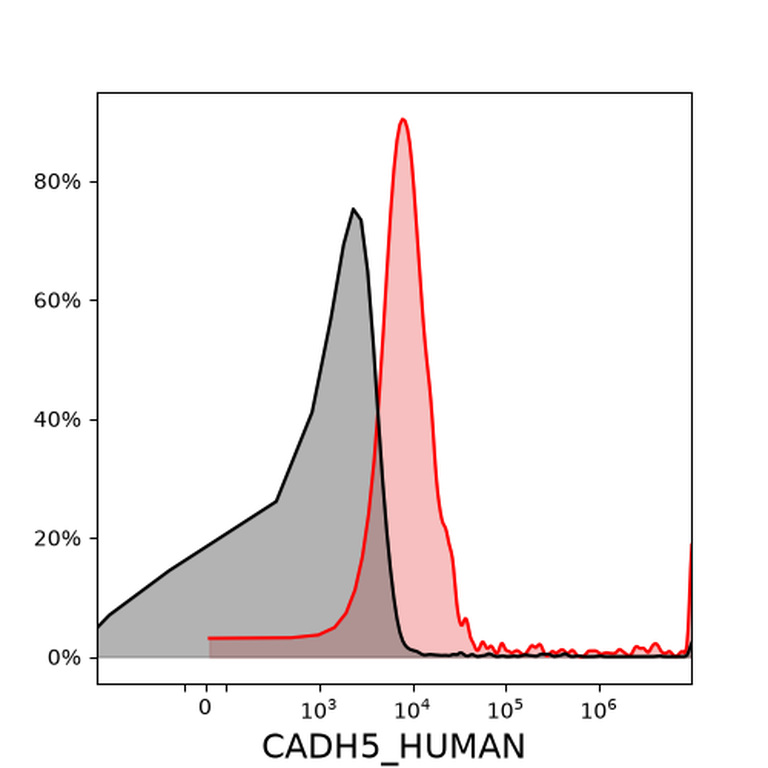 Ankyron CADH5_HUMAN Clone AY40180