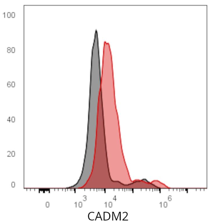 Ankyron CADM2_HUMAN Clone CT30921