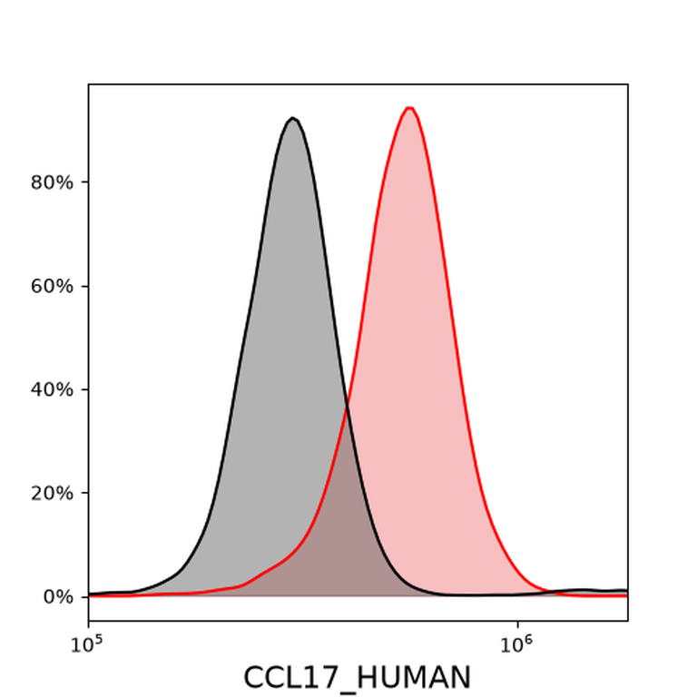 Ankyron CCL17_HUMAN Clone AR40111