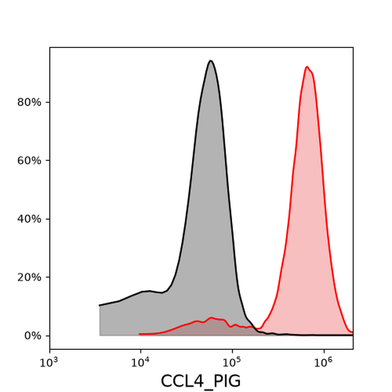 Ankyron CCL4_PIG Clone FQ40250