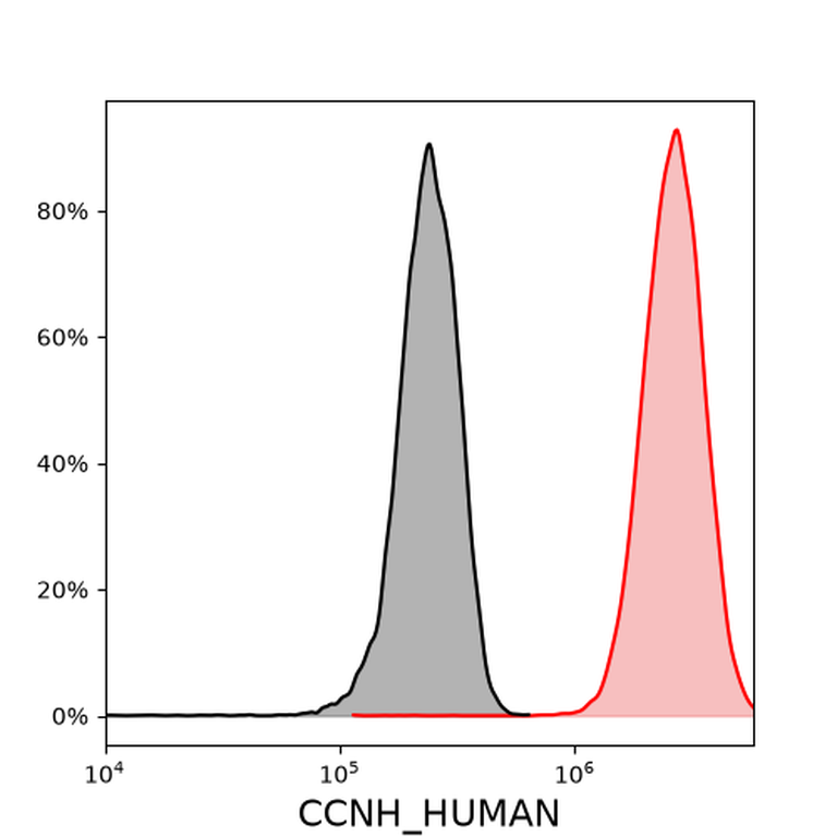 Ankyron CCNH_HUMAN Clone CQ40356