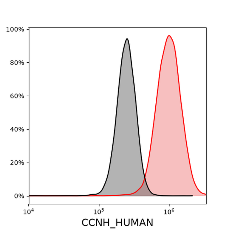 Ankyron CCNH_HUMAN Clone CQ40351
