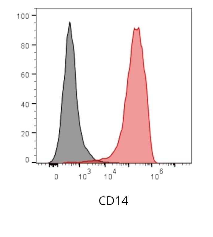 Ankyron CD14_HUMAN Clone AB40366
