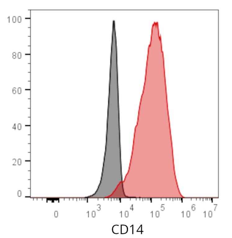 Ankyron CD14_HUMAN Clone AB30168