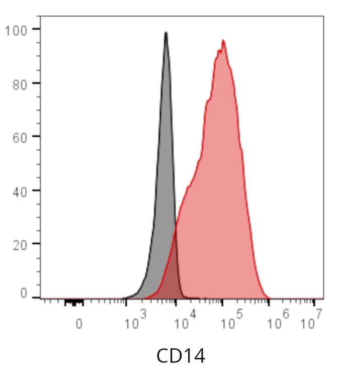 Ankyron CD14_HUMAN Clone AB30172