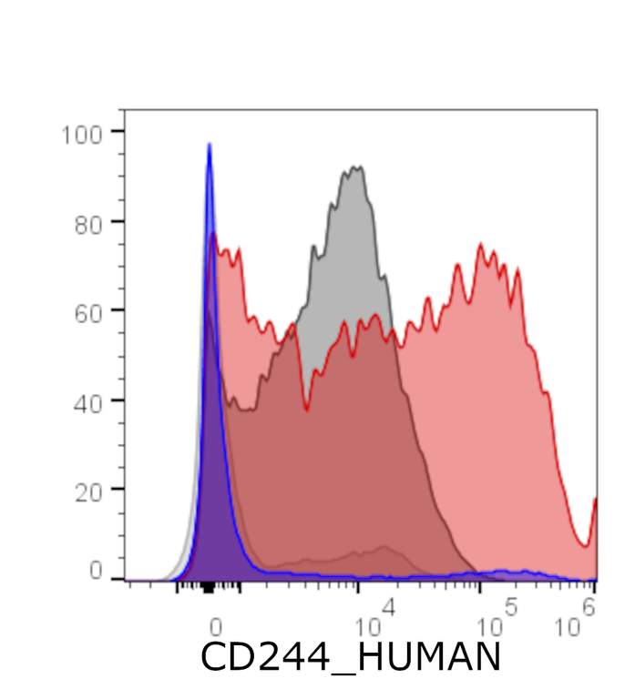 Ankyron CD244_HUMAN Clone AC40190