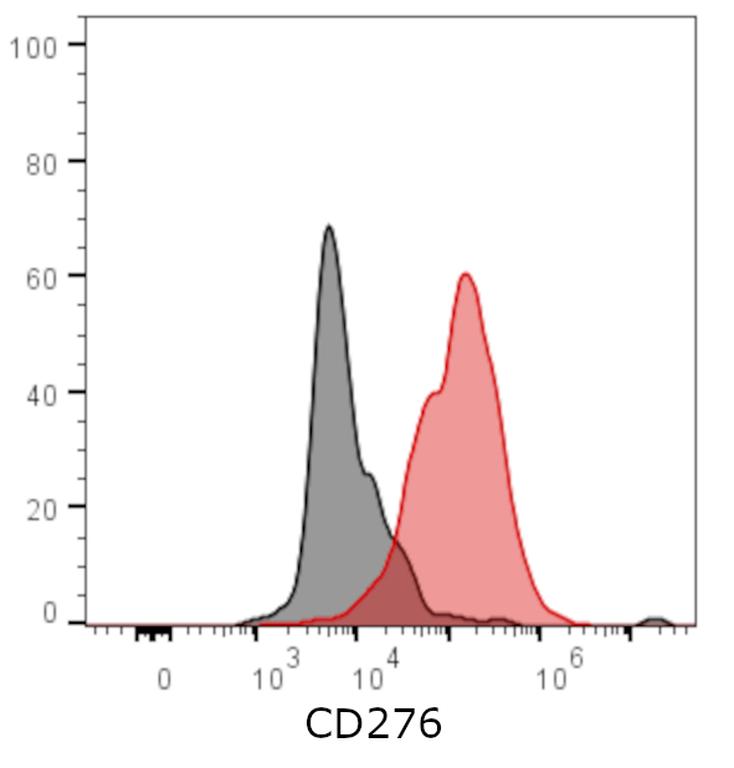 Ankyron CD276_HUMAN Clone CB30586