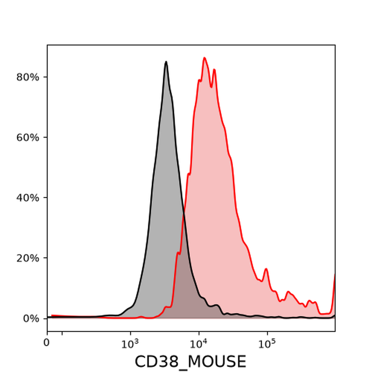 Ankyron CD38_MOUSE Clone BS40437