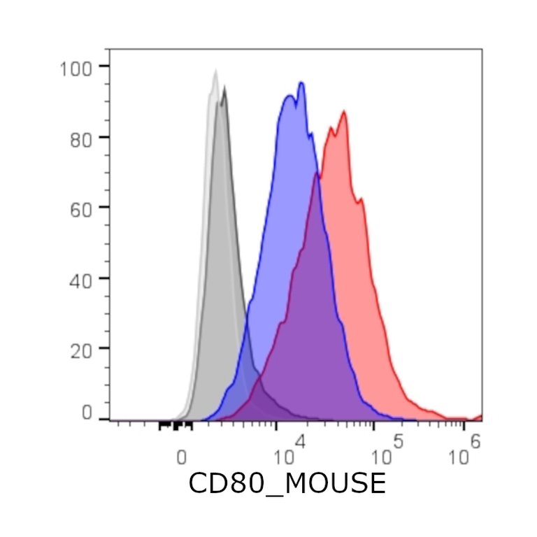 Ankyron CD80_MOUSE Clone AO40290